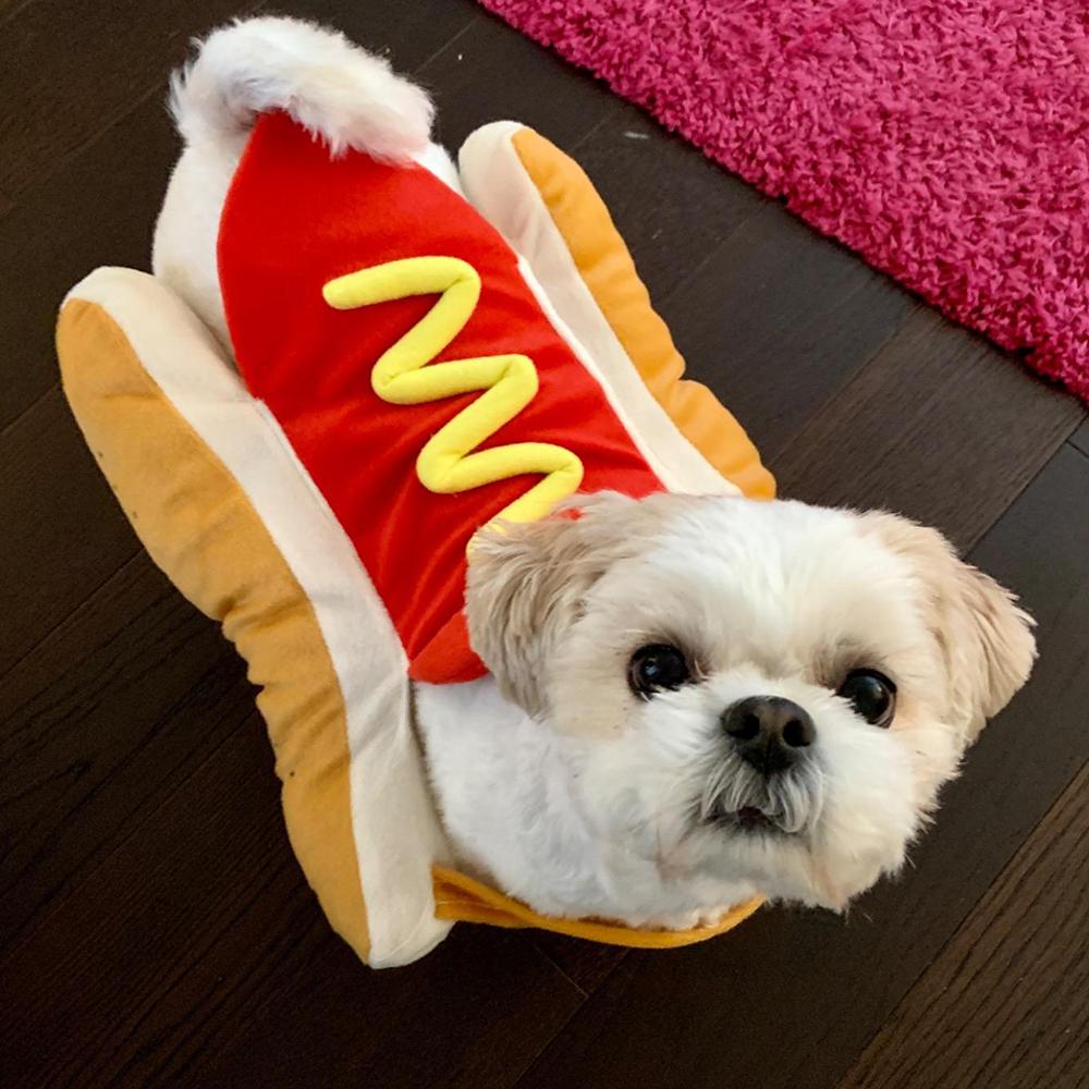 Delicious hot dog 🤣