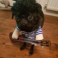 Rockstar Dog - Pet Costume