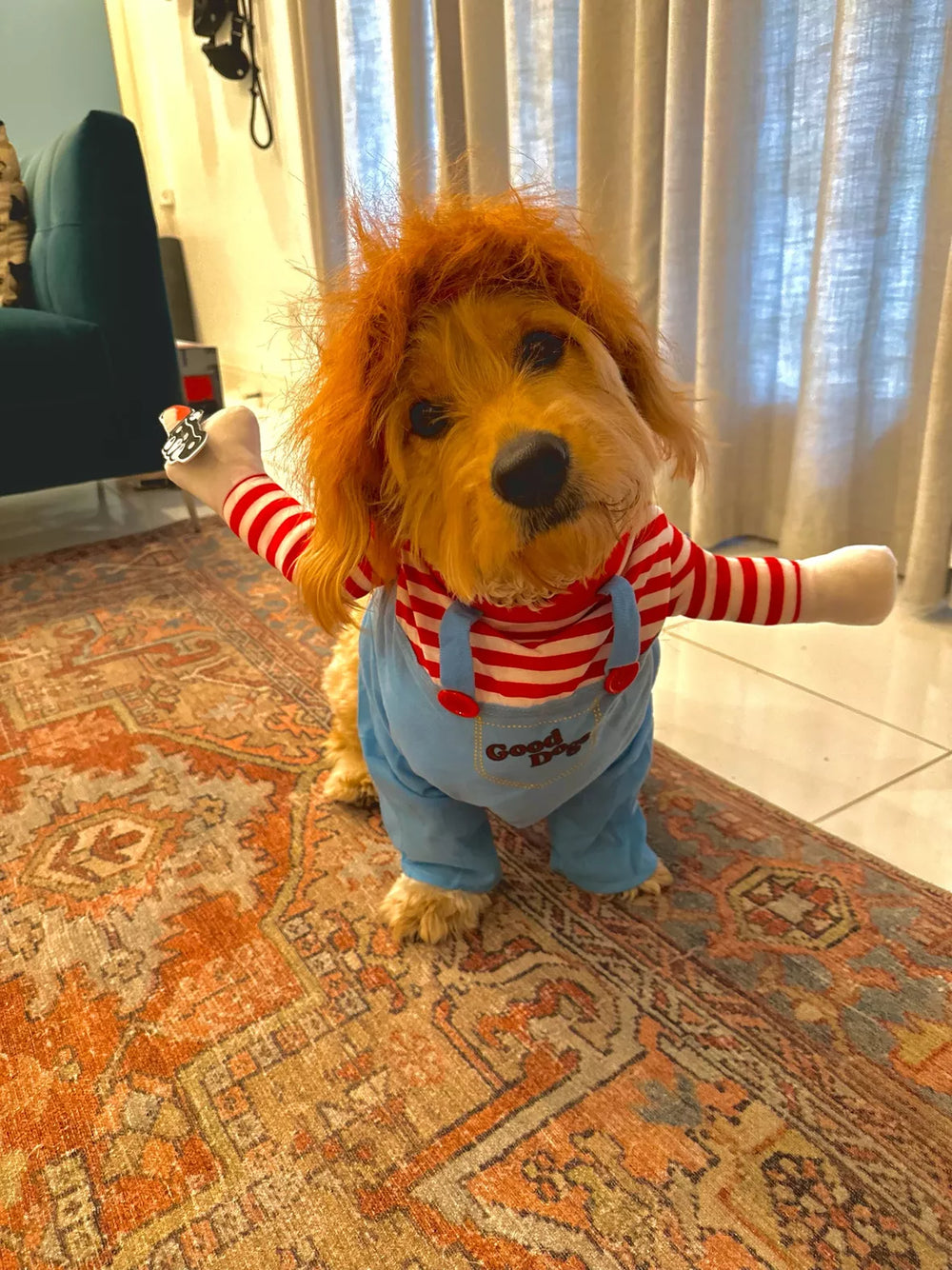 Killer Doll - Pet Costume