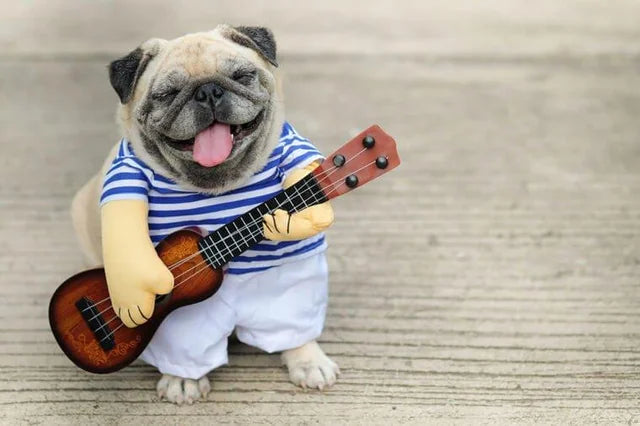 Dog in costume