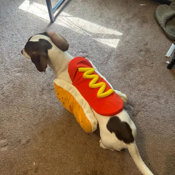Delicious Hot Dog - Pet Costume