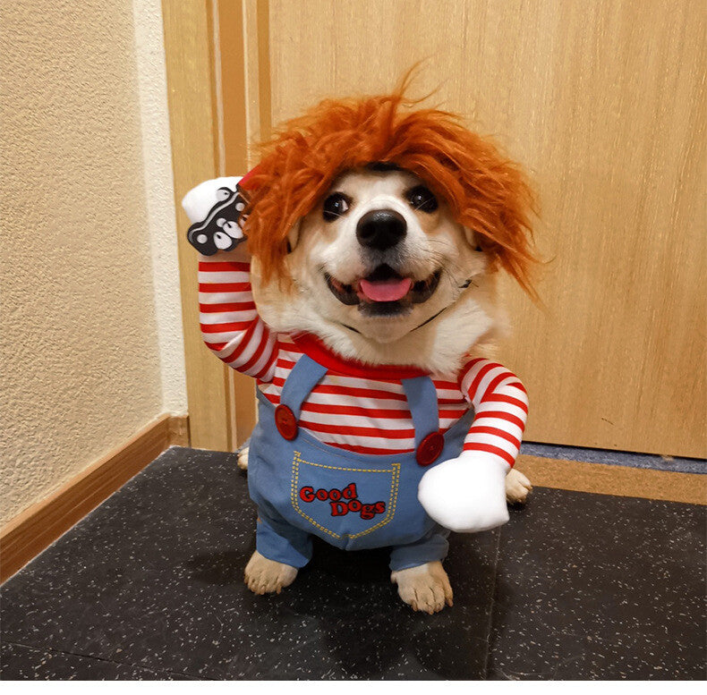 Dog in costume